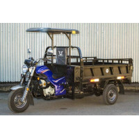 Вантажний трицикл бензиновий Геркулес Q3 200 200cc