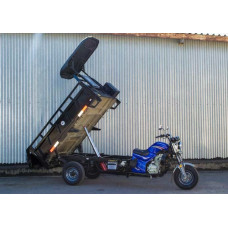 Вантажний трицикл бензиновий Геркулес Q3 200 200cc