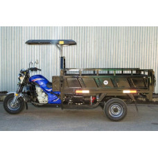 Вантажний трицикл бензиновий Геркулес Q3 200 200cc