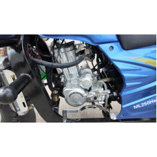 Вантажний трицикл бензиновий MotoLeader ML 250 Hercules 250cc