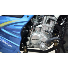 Вантажний трицикл бензиновий MotoLeader ML 250 Hercules 250cc