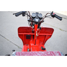 Вантажний трицикл бензиновий Renegade LTA-200CC