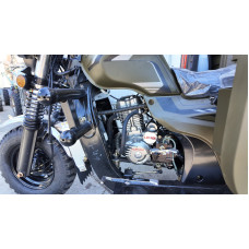 Вантажний трицикл бензиновий Renegade LTW-250CC