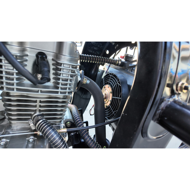 Вантажний трицикл бензиновий Renegade LTW-250CC