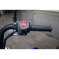 Вантажний трицикл бензиновий Zongshen ZS300ZH 275cc