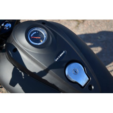 Мотоцикл SKYBIKE RENEGADE 250