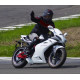 Мотоцикл MEGELLI 250R