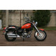 Мотоцикл SKYBIKE TC-250