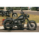 Мотоцикл SKYBIKE RENEGADE 200