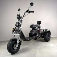 Електровелосипед EVOBIKE Grizzly X3 PRO 25OOW Black 2026