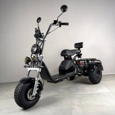 Електровелосипед EVOBIKE Grizzly X3 PRO 25OOW Black 2026