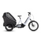 Електровелосипед триколісний CUBE Trike Hybrid Family 250W 750Wh 24"/20" (2024)