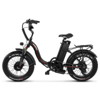 Електрофетбайк Cayman TRIAL DUAL 1500W 48V 17Ah 20"