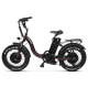 Електрофетбайк Cayman HARD DUAL 3000W 48V 21Ah 20"