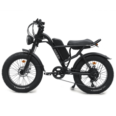Електрофетбайк IDPOO IM-J1 750W 48V 15.6Ah 20"
