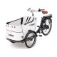  Електровелосипед триколісний Babboe Curve-E Disc 250W 36V 12.5Ah 26" (2024)