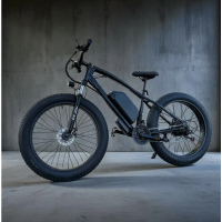 Електровелосипед VOLTO Storm 1000W 48V 18Ah 26" (2024)